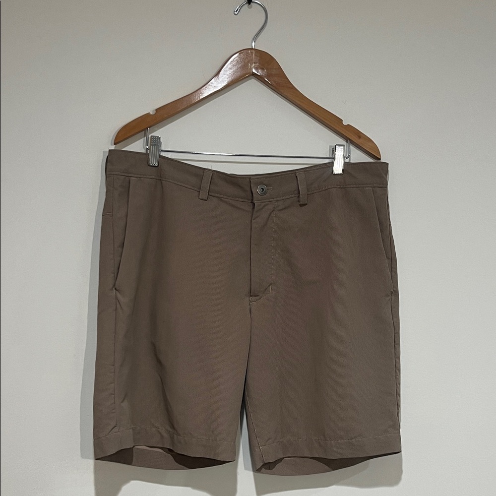 The North Face Men's Tan Flat Front Shorts
